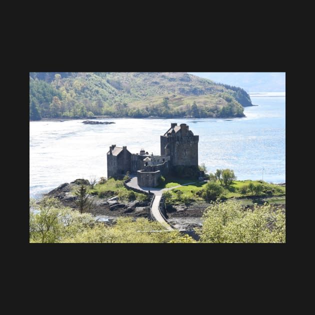 Eilean Donan Castle , the Highlands , Scotland by goldyart