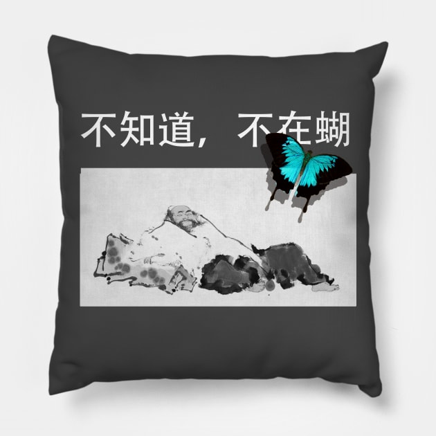 Zhuangzi Don't Know, Don't Care (Black Background) Pillow by neememes