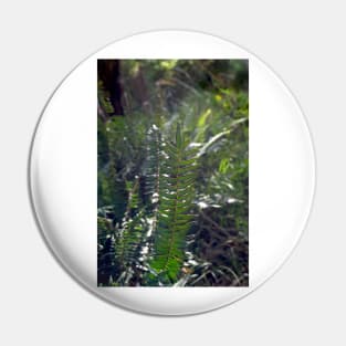 Fishbone Water Fern Pin