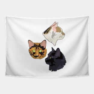 Crazy for cats Tapestry