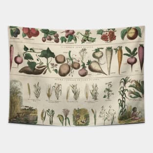 Healthy food habits agriculture educational vintage chart poster Tapestry