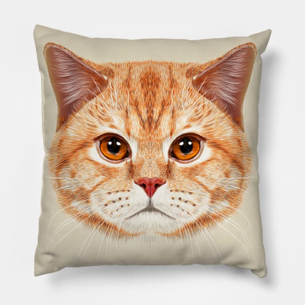 Orange Tabby Cats Face Pillow by cameradog