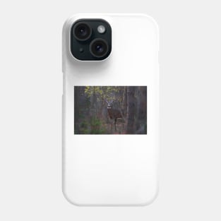 Deep Woods Buck - White-tailed Deer Phone Case