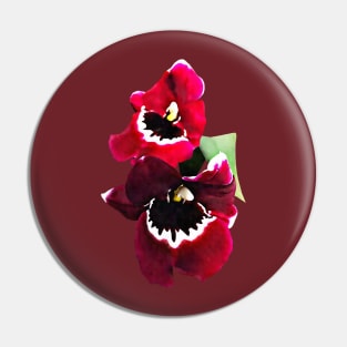 Maroon Miltonia Orchids Pin