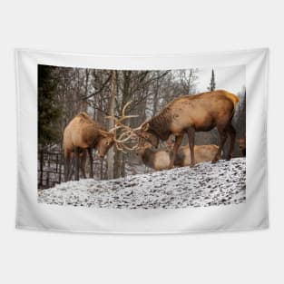 Wapiti Tapestry