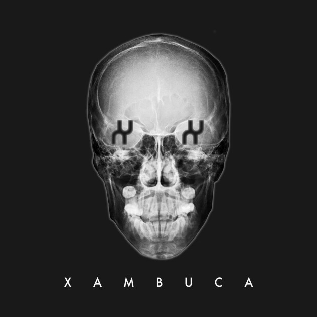 Xambuca Skull by DISSIMULATA DESIGNS BY XAMBUCA