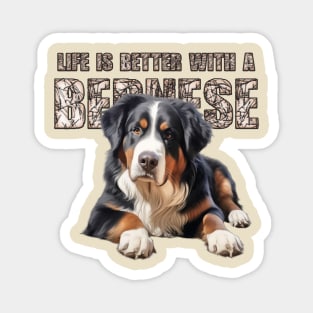 Bernese mountain dog Magnet