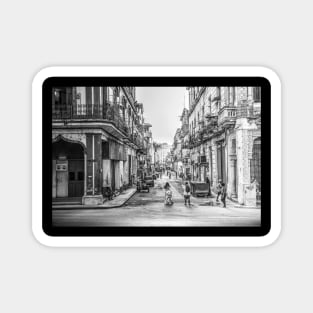 Paseo De Marti, Havana, Cuba, Black And White Magnet