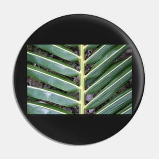 Tropical frond. Pin