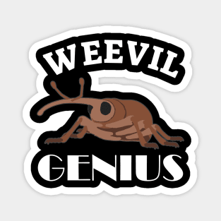 Weevil Genius Magnet