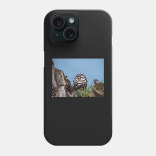 Little owl perched on at tree trunk Phone Case