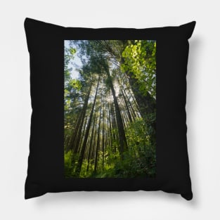 Salal Trail - Green Timbers Urban Forest Pillow