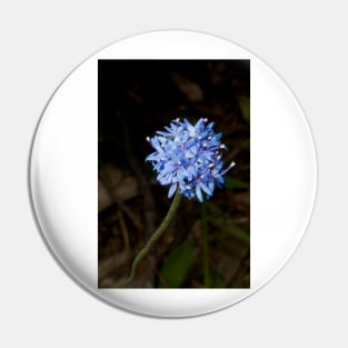 Truly Blue Pincushion Pin