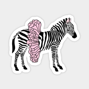 Ballerina Zebra Magnet