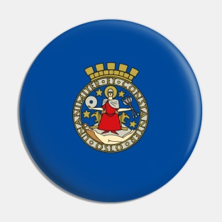 Flag of Oslo, Norway Pin