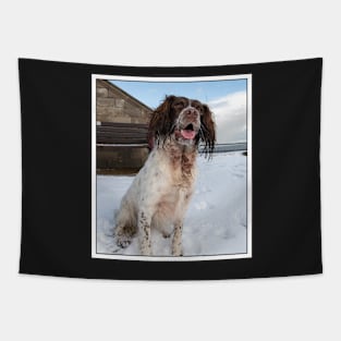 English Springer Spaniel sitting Tapestry