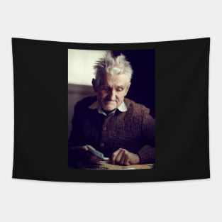 Senior farmer holding money Tapestry