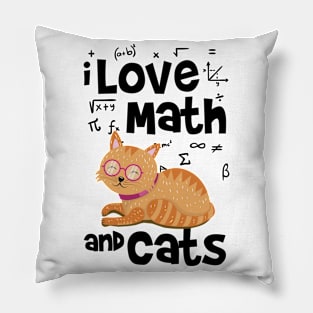 Math And Cats Pillow