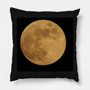 Bat on the Moon Pillow