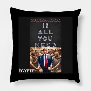 Égypte Pillow