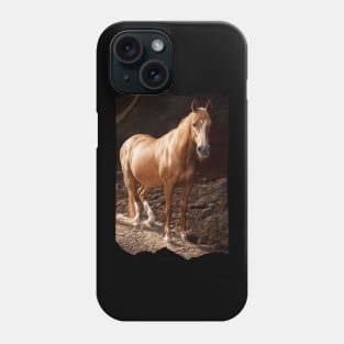 Chestnut Arabian Mare Phone Case