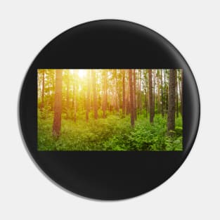 Green forest panorama and shining sun Pin