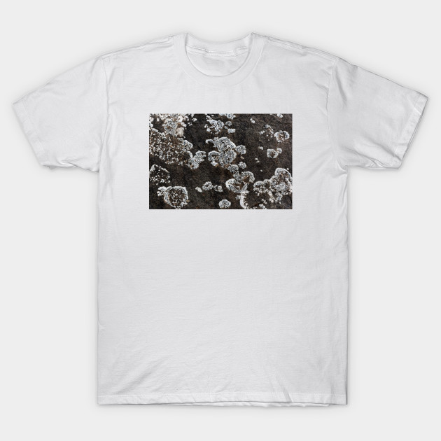 Seaside Fungi Growth On Rock Surface - Fungi - T-Shirt