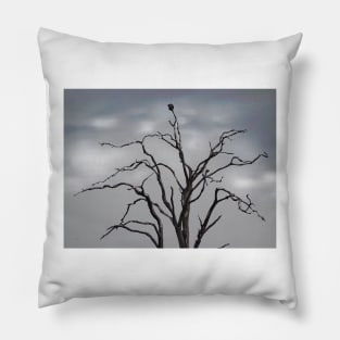 TREES THAT ARE MONKEY PUZZLING...? Pillow