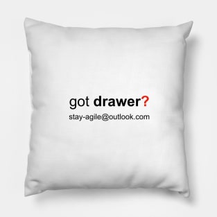 Got drawer magnet design Pillow