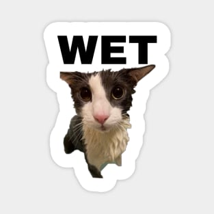 Soggy Cat Wet Magnet