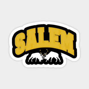 Salem Collegiate Bulls Magnet