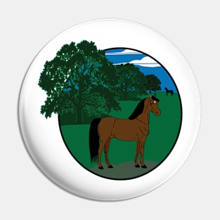 A Morgan in a field of Oaks Pin