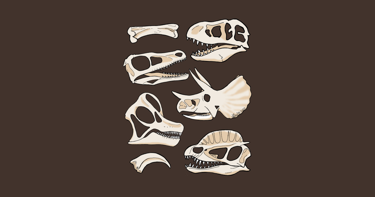 dino skull