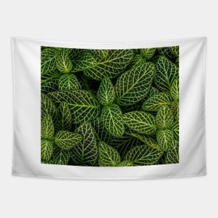 beauty of nature Tapestry