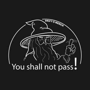 You Shall Not Pass Funny Fantasy Middle Earth Wizard T-Shirt