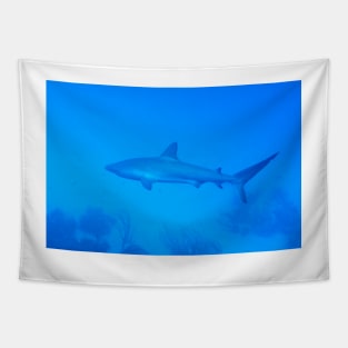 Caribbean Reef Shark Tapestry