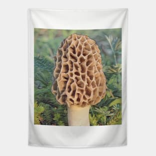 Morel Dreams Tapestry