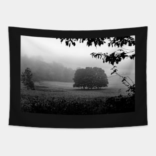 The Grove in fog Tapestry