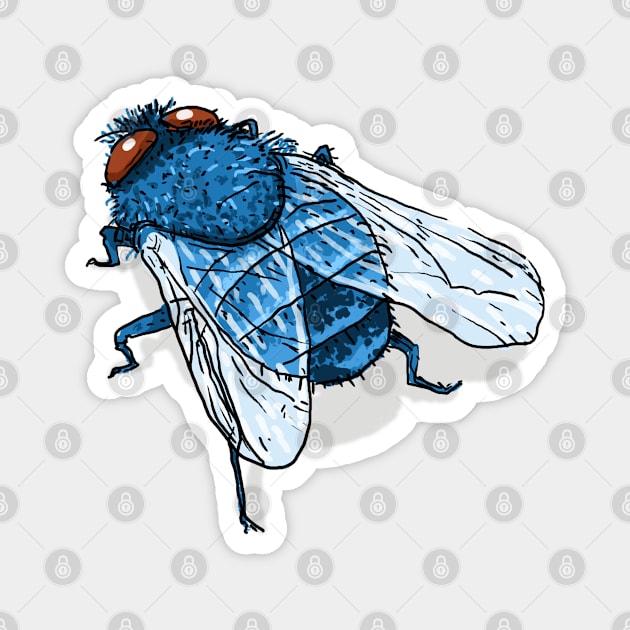 Bugs-10 Blue Fly Magnet by Komigato