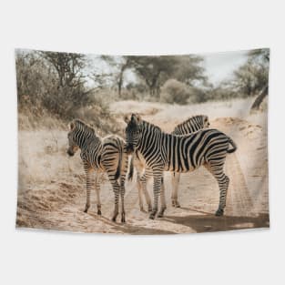 African Zebras Tapestry