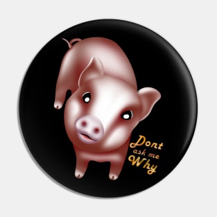 Dont ask why, cute baby pigs, piglet Pin