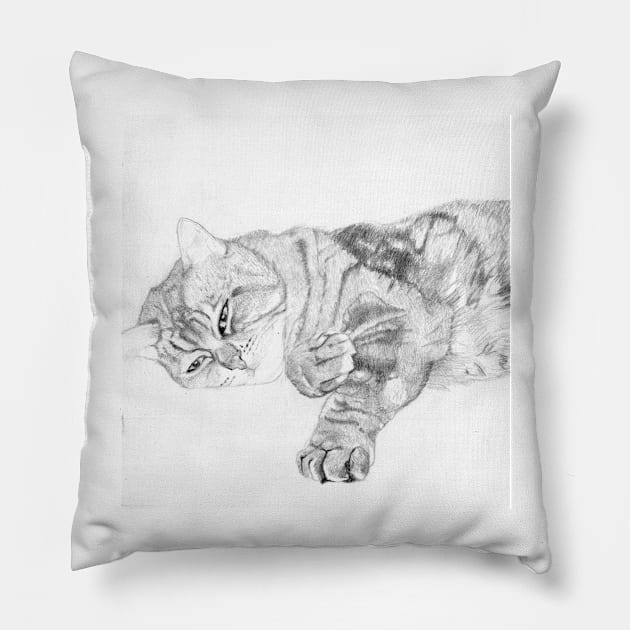 Tabby Cat Relaxing Detail Pillow by DavidASmith