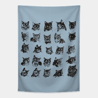 Hand drawn cats pattern Tapestry