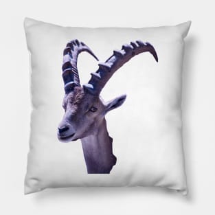 Capricorn III / Swiss Artwork Photography Pillow