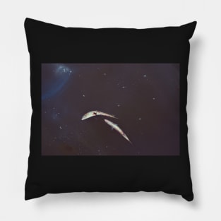 Crab on Fish in Space Pillow