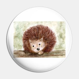 hedgehog "snub nose" Pin