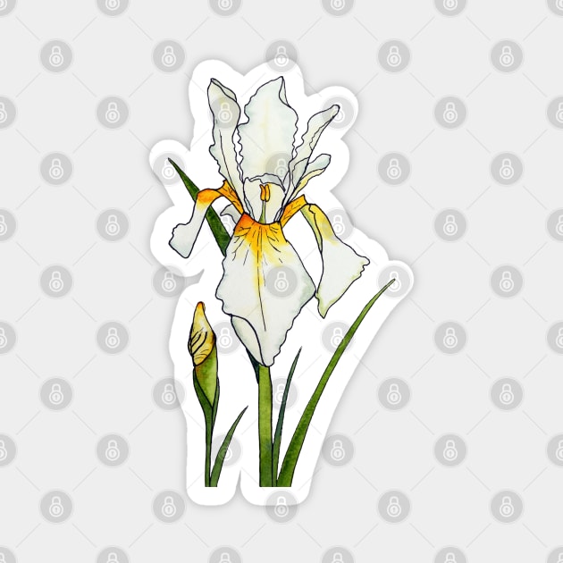 Iridescent Iris Magnet by Kirsty Topps