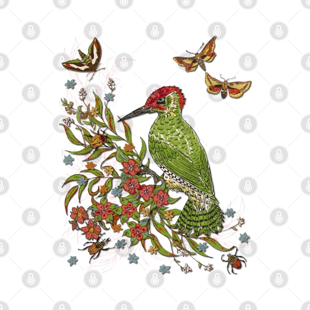 Vintage Woodpecker by lottibrown