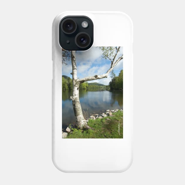 Spring on Woodard Reservoir Phone Case by srwdesign