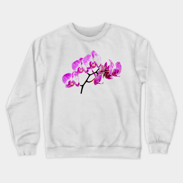 orchid crewneck sweatshirt